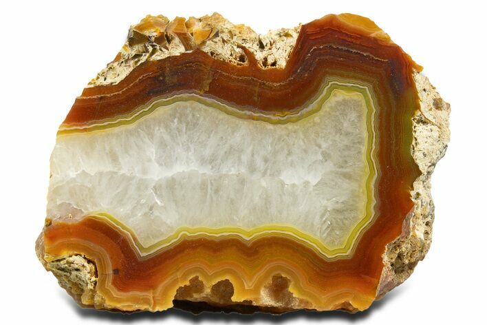 Polished Queensland Agate Nodule - Australia #323012